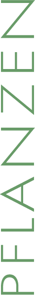 Ueberschrift Pflanzen